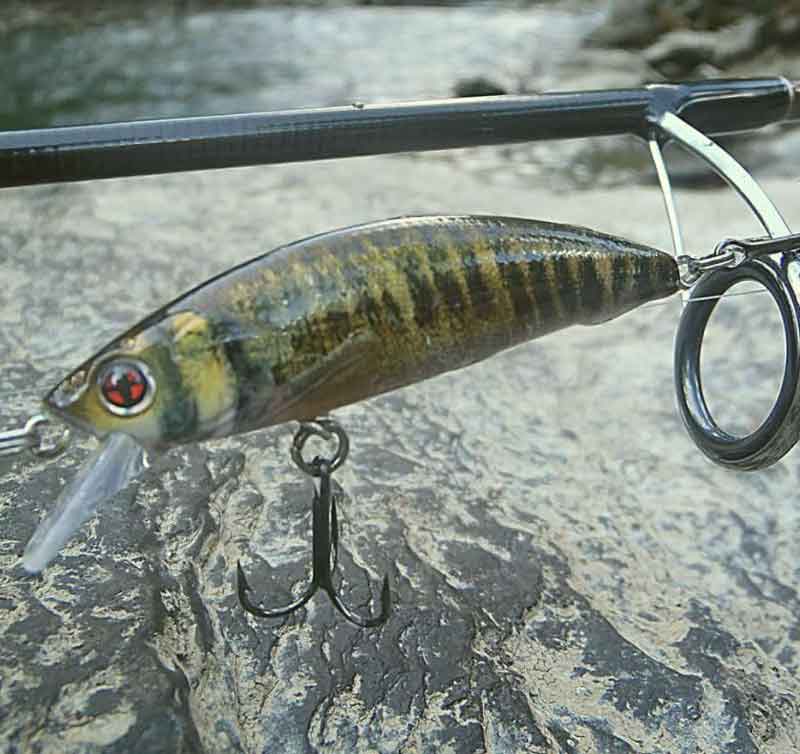 Minnows--para-la-lubina