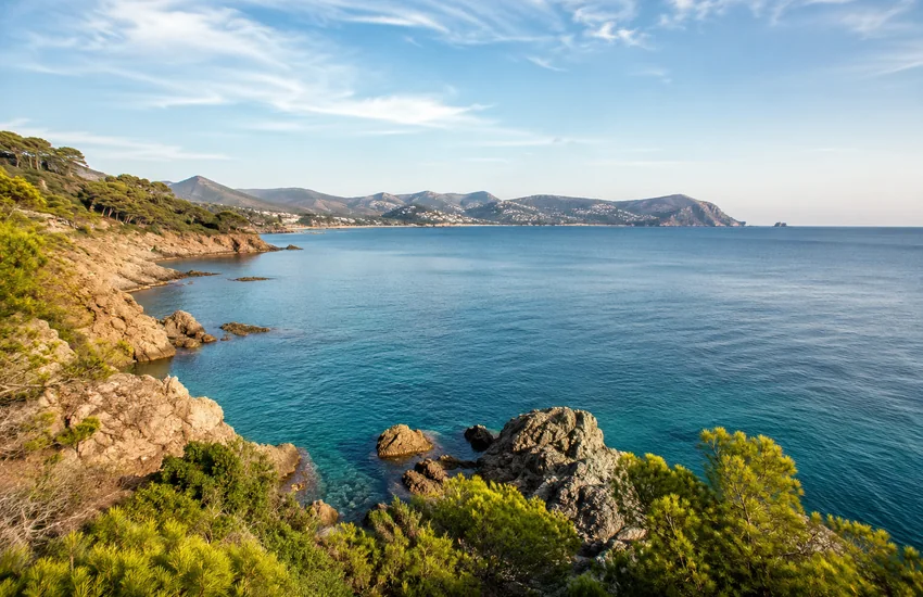 Normativa de pesca recreativa de sepia en Cataluña