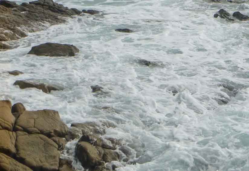 Estado del mar favorable para pescar sargos