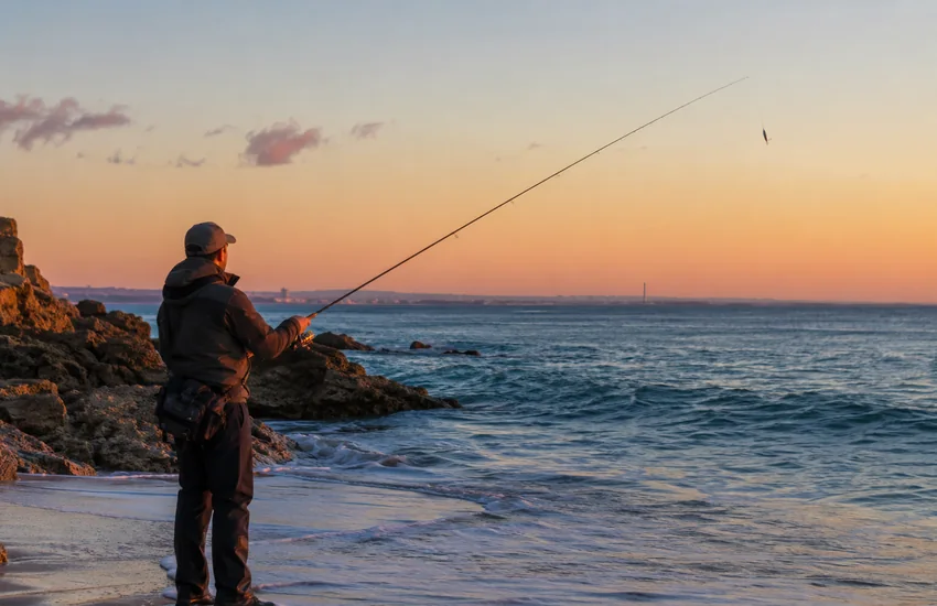Normativa de pesca recreativa de sepia en Andalucía