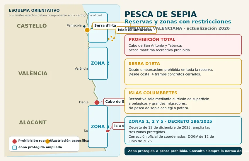 Normativa de pesca recreativa de sepia en la Comunitat Valenciana